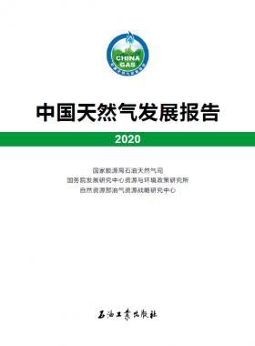 2020中國天然氣發(fā)展報(bào)告（含2017、2018、2019、2020）